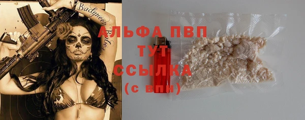 2c-b Богородицк
