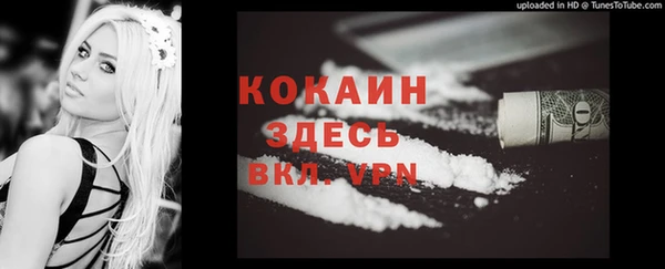 2c-b Богородицк