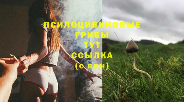 мет Богданович
