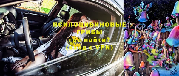прущая мука Бородино