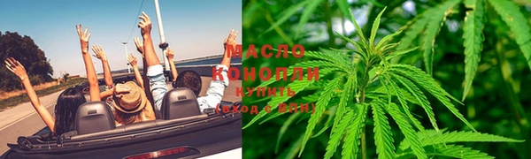 apvp Богородск