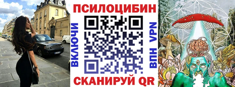 Галлюциногенные грибы Psilocybine cubensis Ессентуки